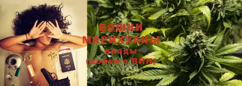 как найти закладки  Дмитриев  OMG зеркало  Канабис OG Kush 